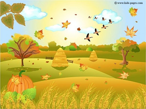 Осенняя Полянка для детей в детском саду-