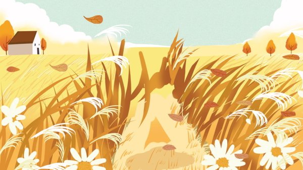 Поле рисунок