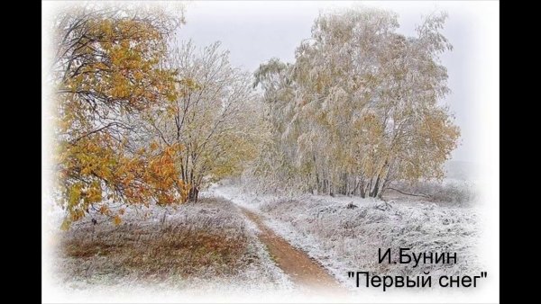 Стих Есенина Нивы сжаты