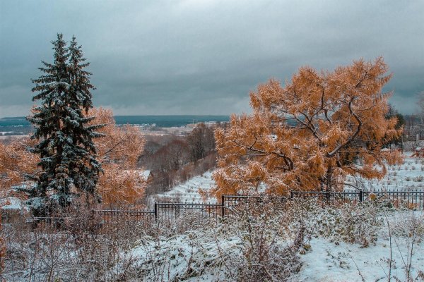 Зимним холодом пахнуло на поля и на леса