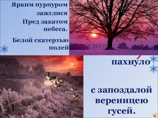 Бунин ярким пурпуром зажглися