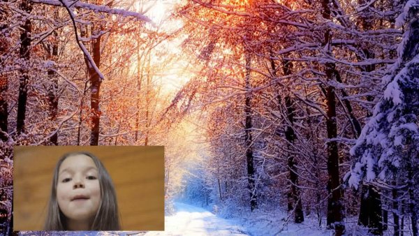 Бунин Иван Алексеевич зимним холодом