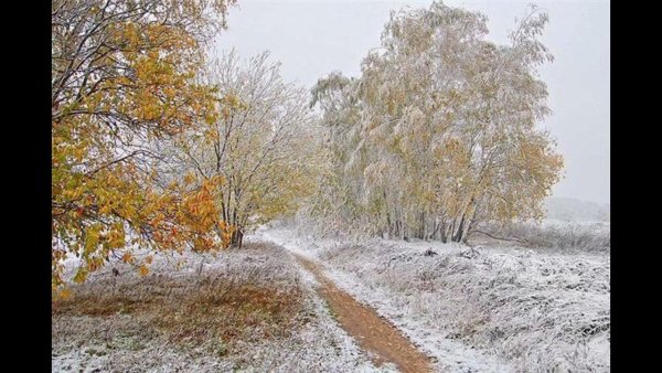 Покров первый снег