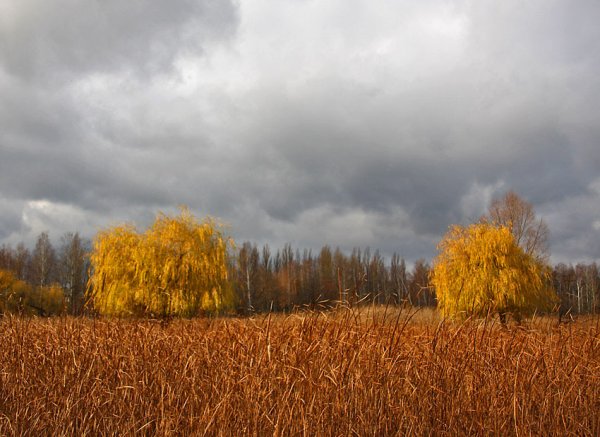 Хмурое осеннее небо