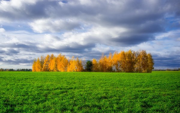 Поле осенью