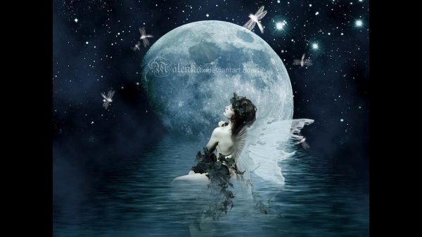 Ночной ангел