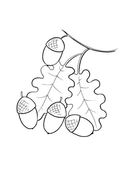 Осенние раскраски для малышей