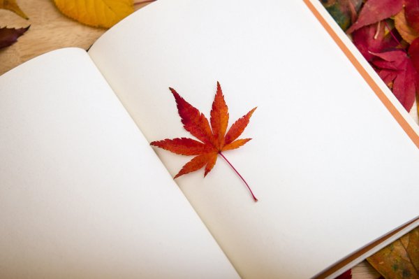 Осенний фон с книгами