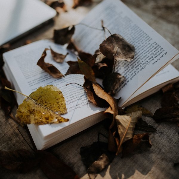 Книжный листок