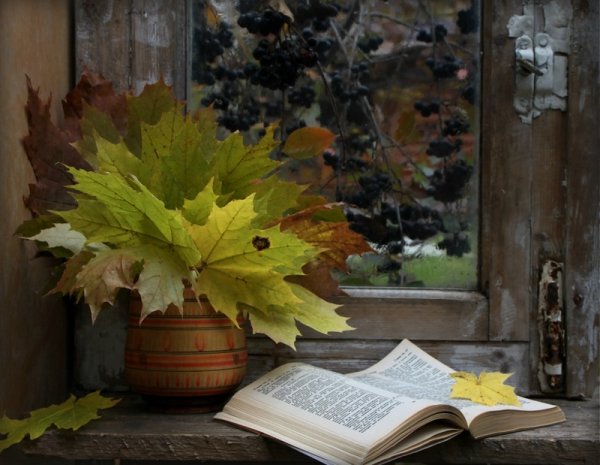 Книжная осень