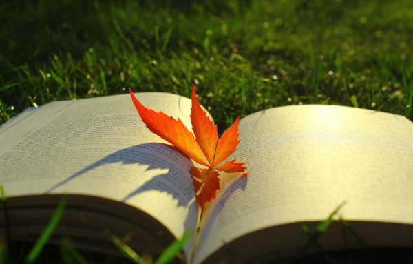 Книга с листочками