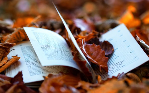 Книги про осень