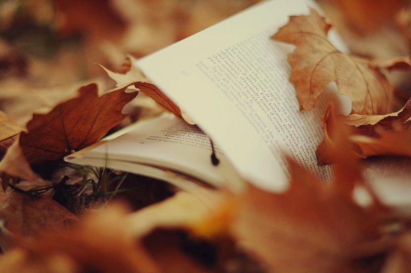 Осень листья книга