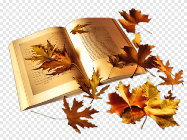 Лист книги