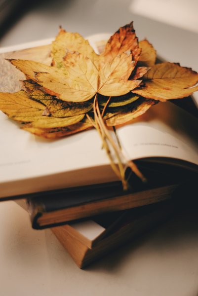 Осенняя книга