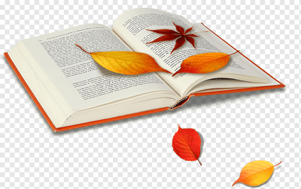 Раскрытая книга и осенние листья