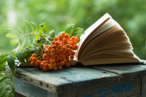 Книги про осень