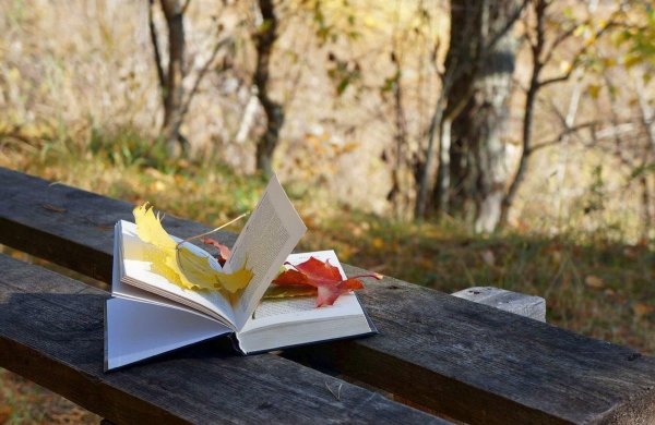 Книжка на лавочке в парке