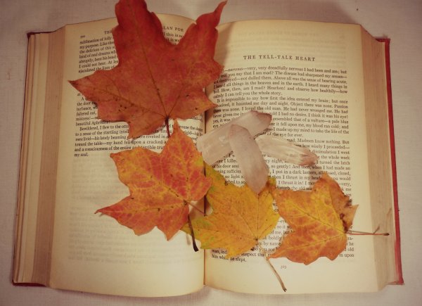 Кленовый лист в книге