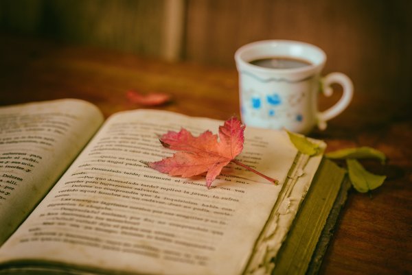 Книги про осень