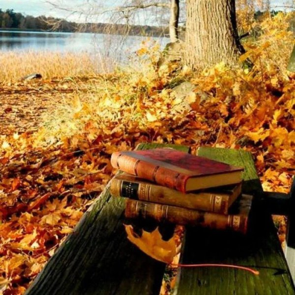 Книжки про осень