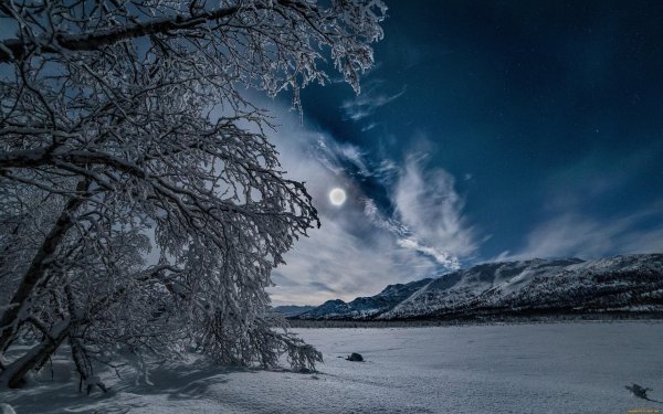 Зимняя ночь обои на рабочий стол