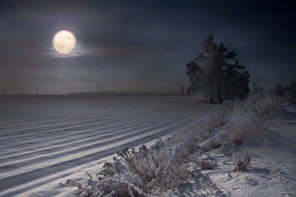 Поле зимой ночью