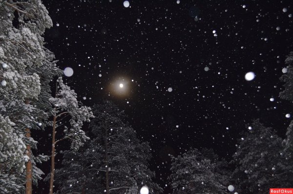 Падающий снег