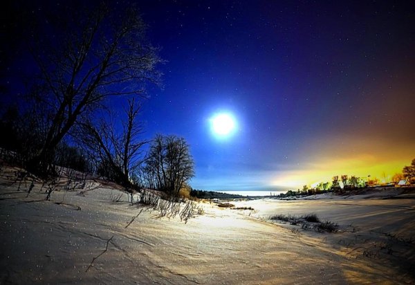 Лунная ночь зимой
