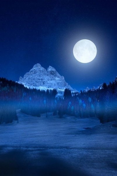 Лунная ночь