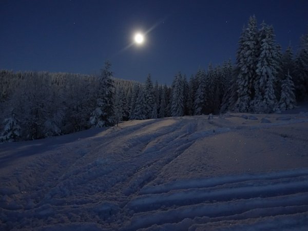 Снег искрится ночью