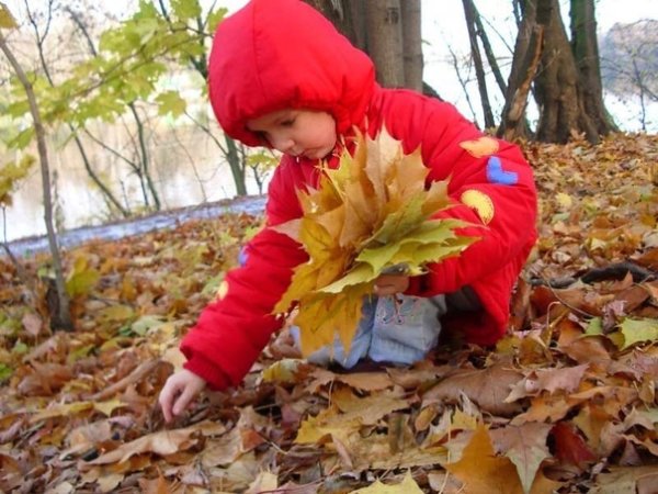 Собирать листья