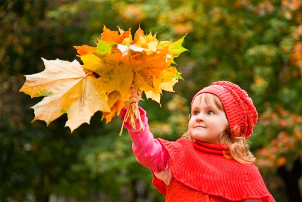 Букет листьев в руке ребенка