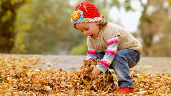 Листья для детей