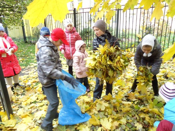Уборка листьев в детском саду