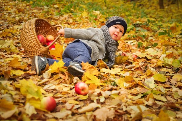 Дети осенью с яблоками