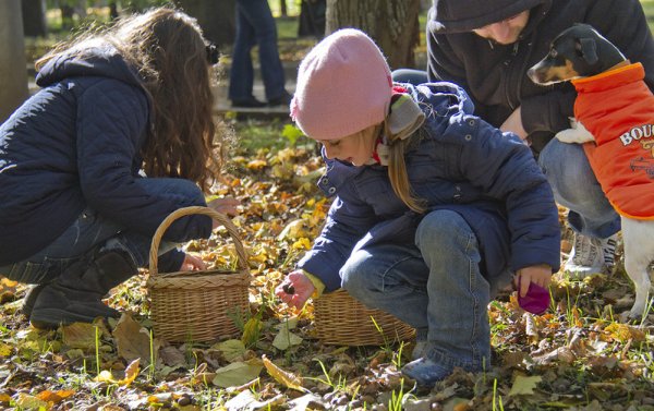 Дети собирают желуди