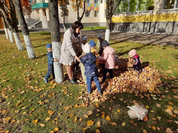 Дети собирают листву