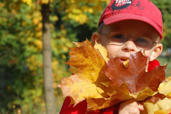 Осенние листья для детей