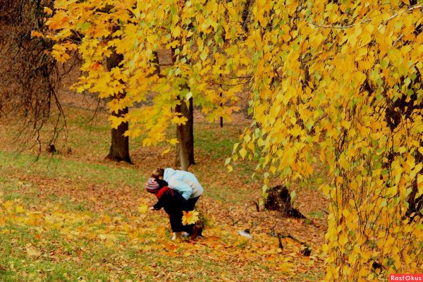 Сбор листвы осенью