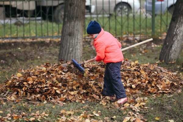 Уборка листьев в детском саду