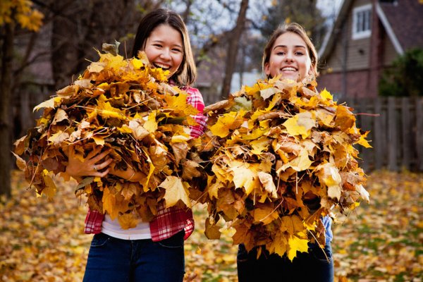 Сбор осенних листьев