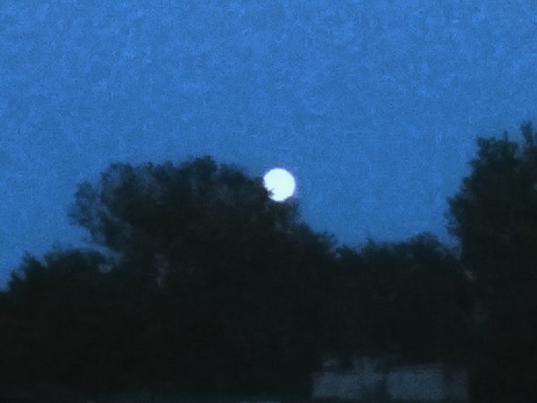 Луна хулиган