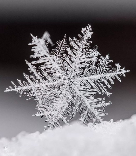 Снежинки зимой