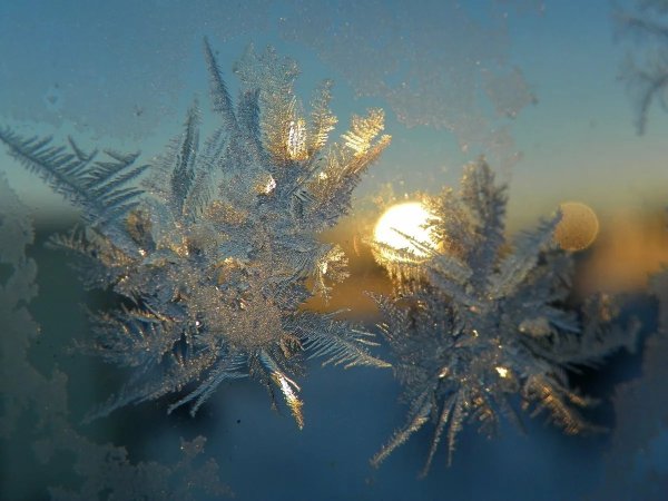 Снежинка в лучах солнца