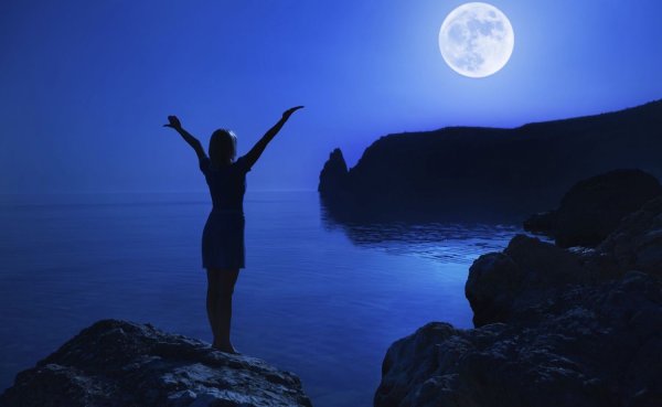 Человек в лунном свете