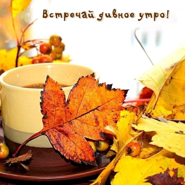 Доброе осеннее утро