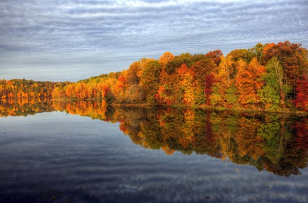 Пейзаж с отражением в воде