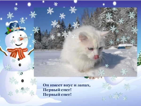 Аким первый снег