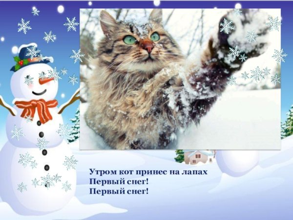 Утром кот принес на лапах первый снег первый снег